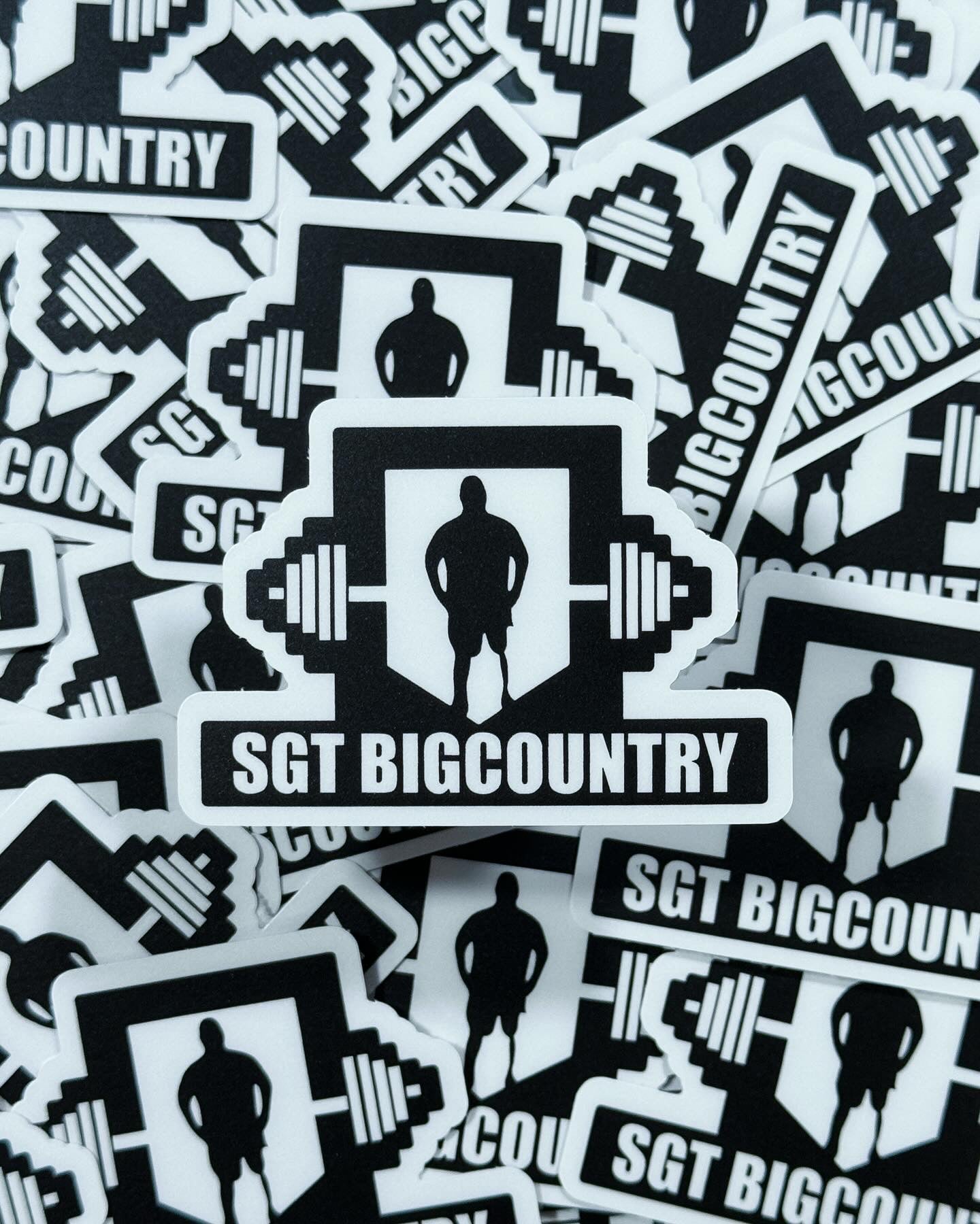 250 3" Custom Die Cut Stickers